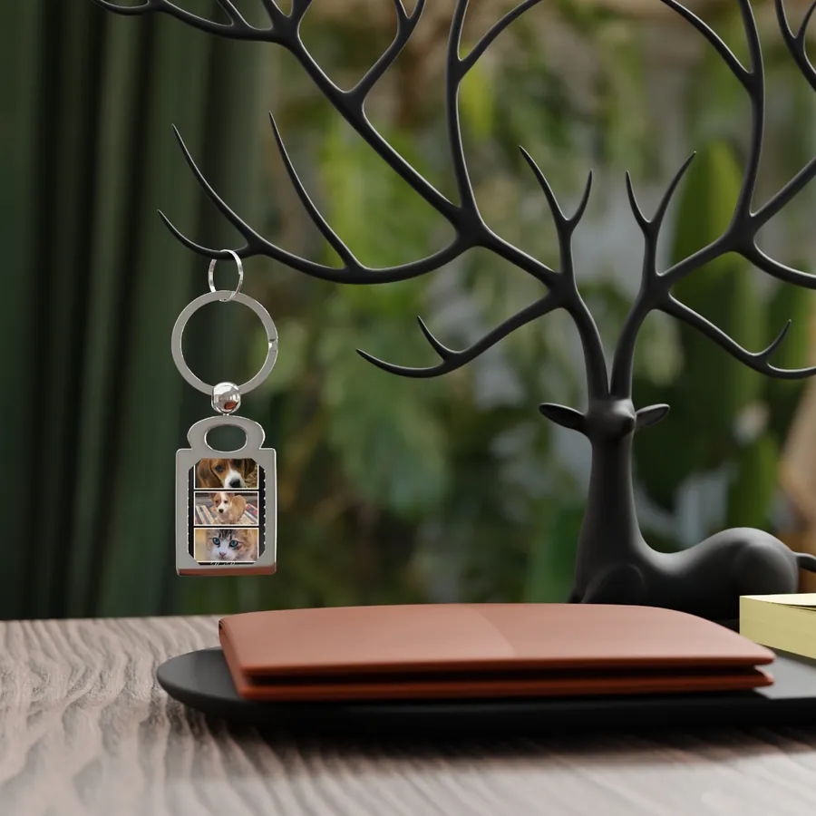 Example: film-strip keychain with three pet photos